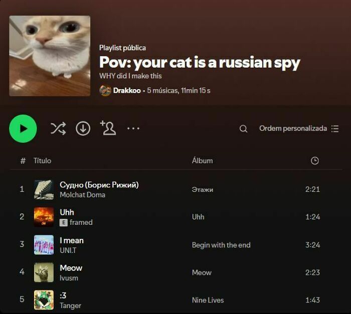 A funny Spotify playlist showing hilarious memes of a cat being a Russian spy.