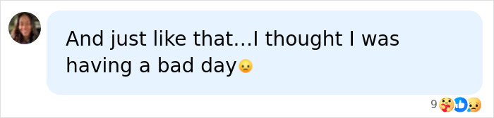 A comment reflecting on a mother and daughter&rsquo;s tragic wish showing perspective on a bad day