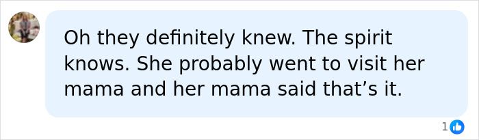 A comment about the mother and daughter&rsquo;s wish where a user notes the spirit knows