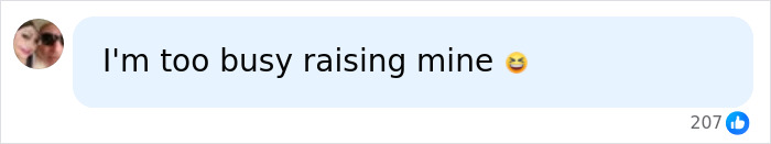 A social media comment by a user saying they are too busy raising their own kids, related to Perez Hilton's kids.