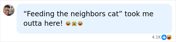 A social media comment reacting to an Airbnb host's absurd request to feed the neighbor's cat. Shows host audacity. A social media comment reacting to an Airbnb host's absurd request to feed the neighbor's cat. Shows host audacity.
