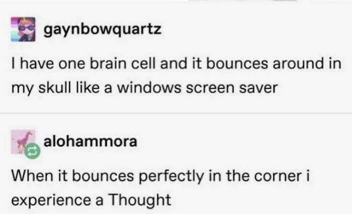 Hilarious memes about only having one brain cell like a Windows screen saver.