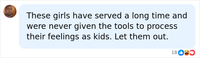 Social media comment calling to let the girls out in the ordinary twins family sagas Social media comment calling to let the girls out in the ordinary twins family sagas