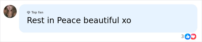 A comment offering condolences, Rest in Peace beautiful xo, for Hayden Panettiere's life. A comment offering condolences, Rest in Peace beautiful xo, for Hayden Panettiere's life.