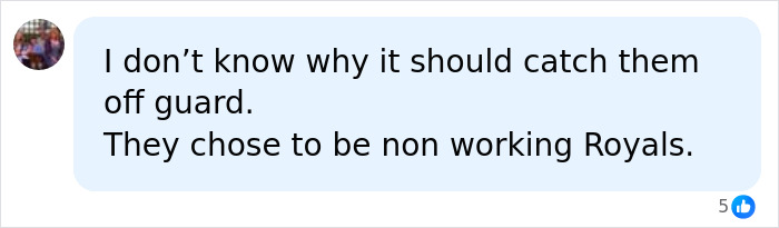 A social media comment about Prince Harry and Meghan Markle choosing to be non-working Royals.