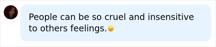 A social media comment on Zendaya's Mom's feelings about cruel comments. A social media comment on Zendaya's Mom's feelings about cruel comments.