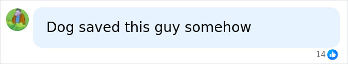 A comment suggesting the dog somehow saved the guy from Isla Fisher's shallow dating expectations.
