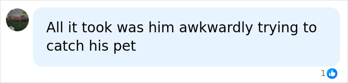 Isla Fisher dating after divorce: A comment on Isla Fisher's dating ick after her divorce.