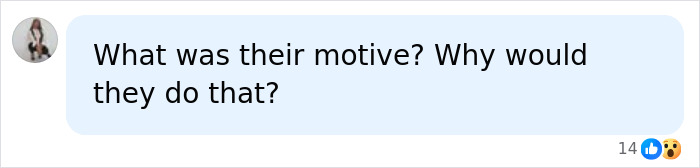 A social media comment asking about the twins motive and why they did it A social media comment asking about the twins motive and why they did it