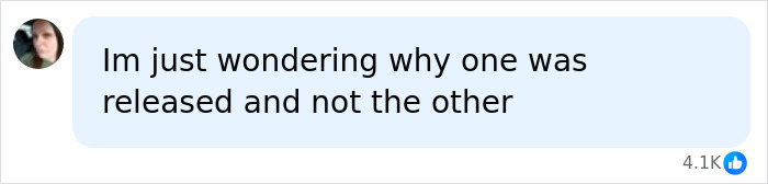 A social media comment discussing the release of ordinary twins involved in a dark family saga. A social media comment discussing the release of ordinary twins involved in a dark family saga.