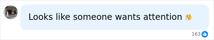 A social media comment reading, Looks like someone wants attention, reacting to King Charles letter to Harry and Meghan. A social media comment reading, Looks like someone wants attention, reacting to King Charles letter to Harry and Meghan.