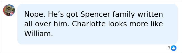 Screenshot of a royal fan comment: He's got Spencer family written all over him. Charlotte looks more like William. Screenshot of a royal fan comment: He's got Spencer family written all over him. Charlotte looks more like William.