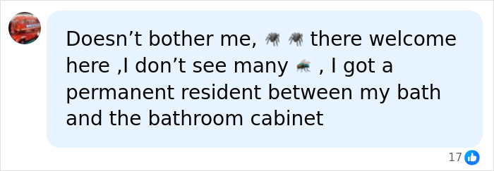 A comment about not being bothered by tennis ball-sized spiders in UK homes and having a permanent resident. A comment about not being bothered by tennis ball-sized spiders in UK homes and having a permanent resident.