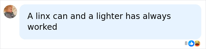 A social media comment suggesting a linx can and a lighter to keep tennis ball-sized spiders out of UK homes. A social media comment suggesting a linx can and a lighter to keep tennis ball-sized spiders out of UK homes.