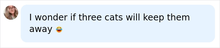 A social media comment wondering if three cats will keep tennis ball-sized spiders away from UK homes. A social media comment wondering if three cats will keep tennis ball-sized spiders away from UK homes.
