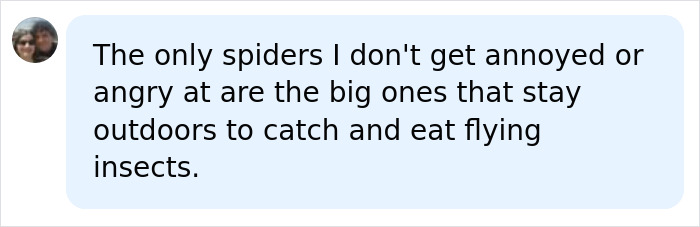 A social media comment discussing big spiders that stay outdoors to catch and eat flying insects, not invading UK homes. A social media comment discussing big spiders that stay outdoors to catch and eat flying insects, not invading UK homes.