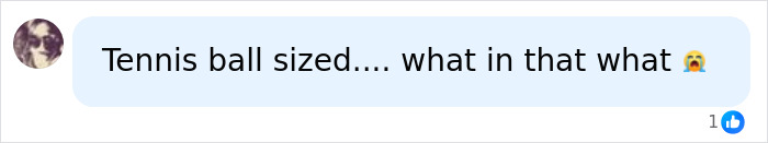 Tennis ball sized spiders invading UK homes, a comment showing shock and concern. Tennis ball sized spiders invading UK homes, a comment showing shock and concern.