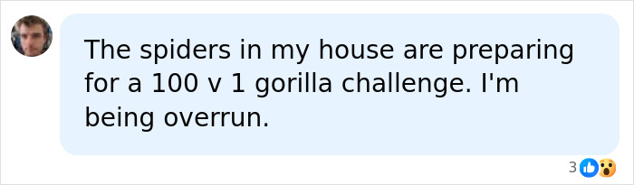 A social media comment describing an overrun situation with tennis ball-sized spiders in a UK home. A social media comment describing an overrun situation with tennis ball-sized spiders in a UK home.