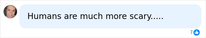 A comment stating that humans are much more scary than tennis ball-sized spiders invading UK homes. A comment stating that humans are much more scary than tennis ball-sized spiders invading UK homes.