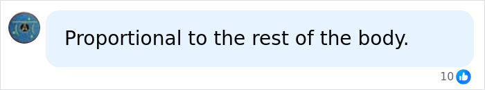 A social media comment discussing breast shape proportionality.