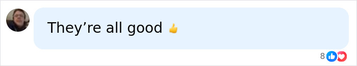 A social media comment saying 'They're all good 👍' regarding the perfect breast shape.