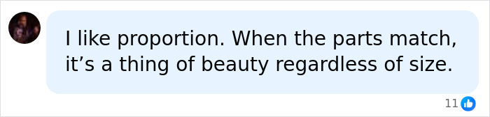 A social media comment discussing the importance of proportion for the perfect breast shape, regardless of size.