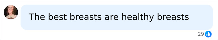 A social media comment stating that the best breasts are healthy breasts, focusing on breast shape.