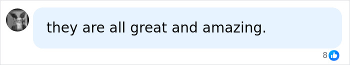A social media comment stating, "they are all great and amazing." in a discussion about perfect breast shape.