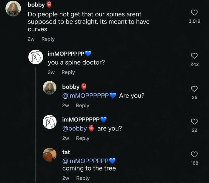One of the hilarious memes featuring a funny online comment argument about human spines and doctor credentials.