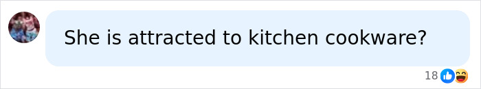 A social media comment humorously asking if Gillian Anderson is attracted to kitchen cookware after her pansexual reveal. A social media comment humorously asking if Gillian Anderson is attracted to kitchen cookware after her pansexual reveal.
