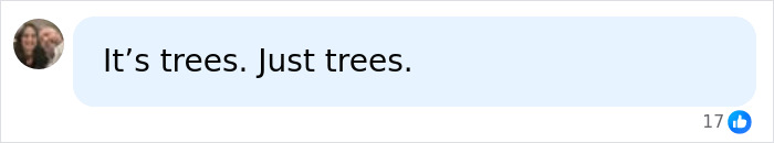 A text message from a diver reveals the truth: The mysterious blacked-out island is just trees.