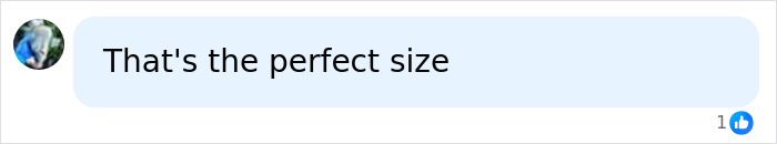 Social media comment saying 'That's the perfect size' regarding an influencer who faced pain after surgery