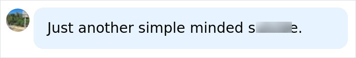A blurred comment calling someone simple minded, connected to influencer surgery story