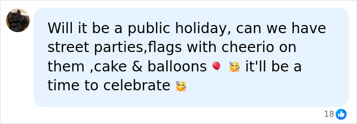 Comment asking if public holiday will be declared for Prince Harry and Meghan Markle return