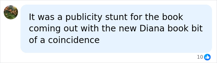 Comment suggesting publicity stunt related to Harry and Meghan and Diana book