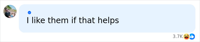 A social media comment saying I like them if that helps, related to Billie Eilish and her drawings.