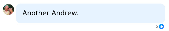A social media comment stating, Another Andrew, in reference to the Son of Norway's Crown and his royal funeral role.