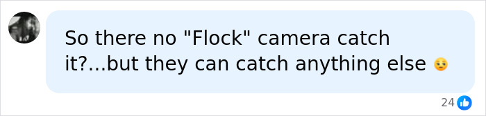 A social media comment asking why surveillance cameras didn't catch someone disrespecting Dolly Parton's star. A social media comment asking why surveillance cameras didn't catch someone disrespecting Dolly Parton's star.