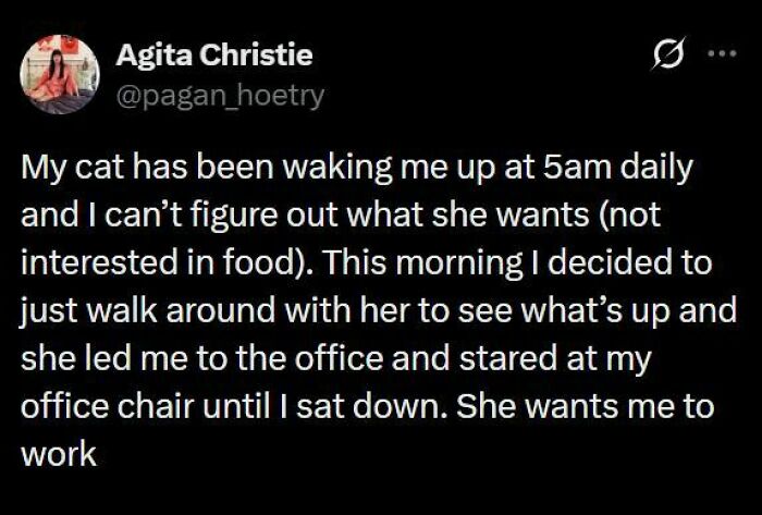 A funny post from hilariously edgy memes showing a tweet about a cat waking its owner up at 5 am to make them work