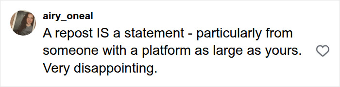 A social media comment expressing disappointment with Pink's controversial posts and loss of fan support. A social media comment expressing disappointment with Pink's controversial posts and loss of fan support.