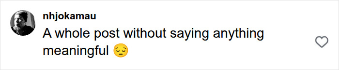 Screenshot of fan criticism regarding Pink's controversial posts, displaying a comment on the lack of meaningful content. Screenshot of fan criticism regarding Pink's controversial posts, displaying a comment on the lack of meaningful content.