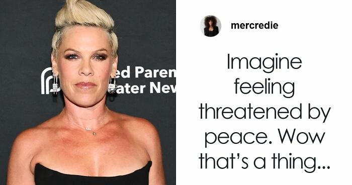 Pink Speaks Out After Macklemore Controversy Leaves Longtime Fans Saying They’re Done