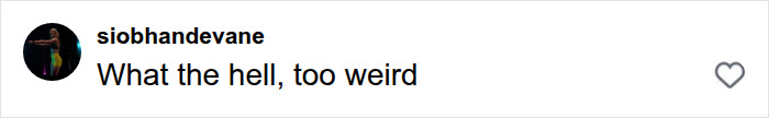 Social media comment calling the bizarre runway appearance too weird.