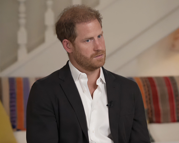 Prince Harry serious expression in interview on royal topics