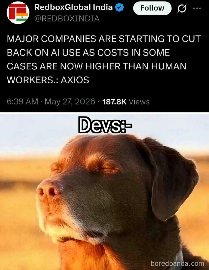 A tired dev meme showing a dog relaxing, representing developers' feelings about AI costs. Funny programmer meme.