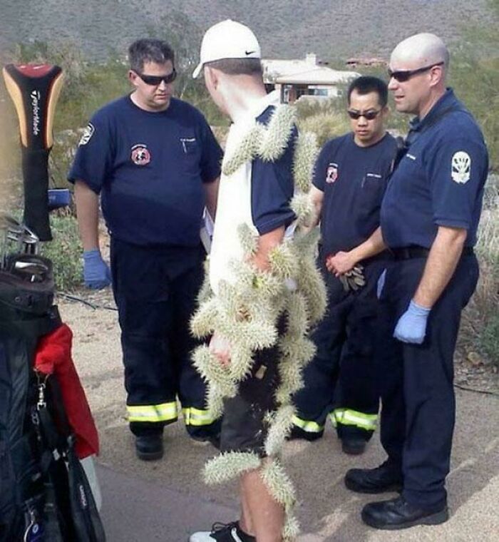Unhinged images of a golfer covered in cactus spines, surrounded by concerned paramedics.