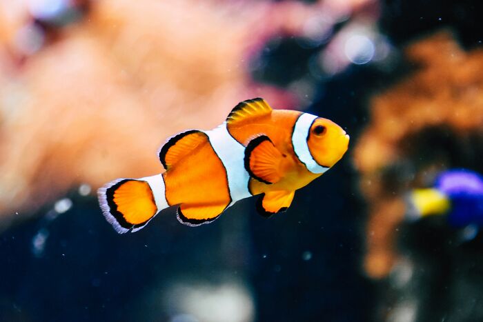 These 49 Animals Seem Cute But Zookeepers Say They Are A Total Nightmare