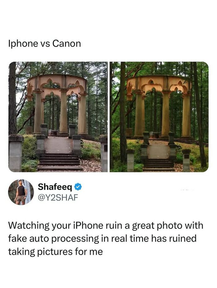 Comparison photo meme of iPhone vs Canon camera quality