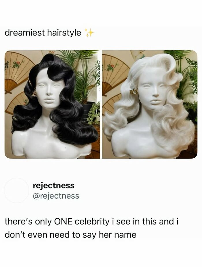 Black and white vintage hairstyle wigs on mannequin heads for dreamiest hairstyle meme