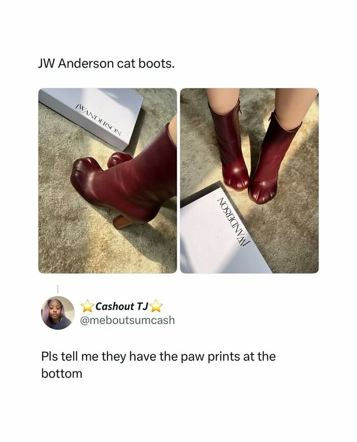 Maroon JW Anderson cat boots with a humorous comment about paw prints meme